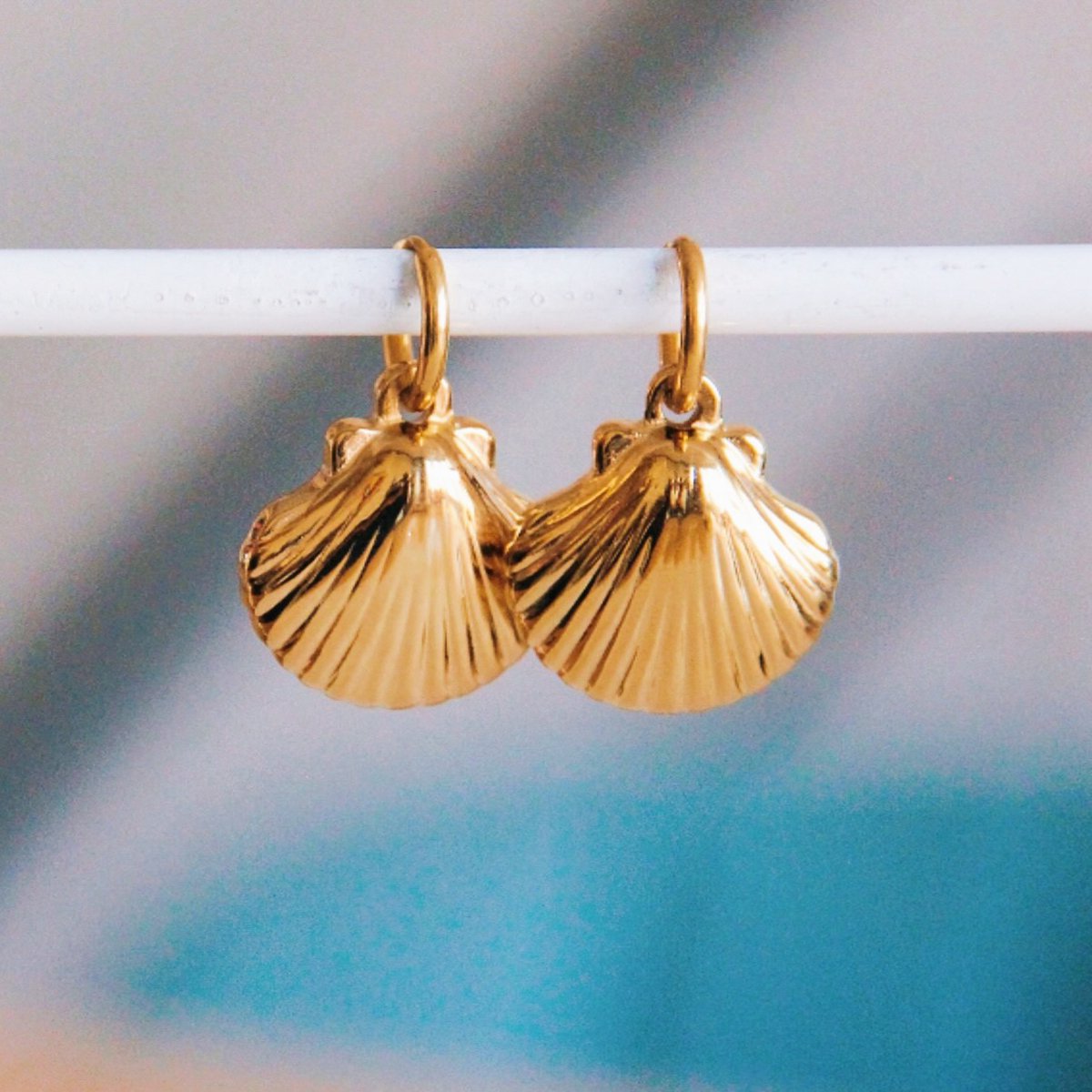 BAZOU Roestvrijstalen hoepel oorbellen met schaal