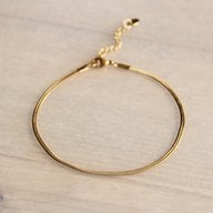 BAZOU Roestvrij stalen enkelband platte slang - goud - AN909