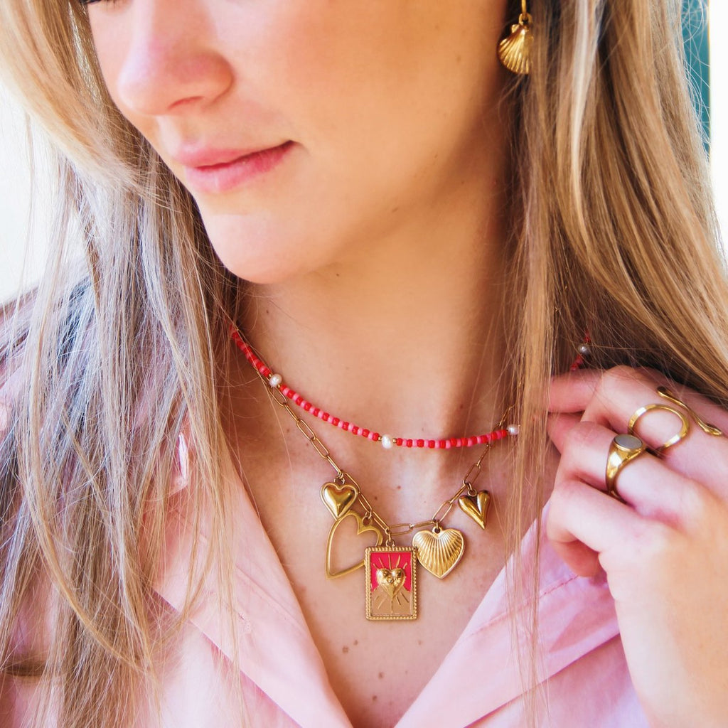 BAZOU Roestvrijstalen hoepel oorbellen met schaal